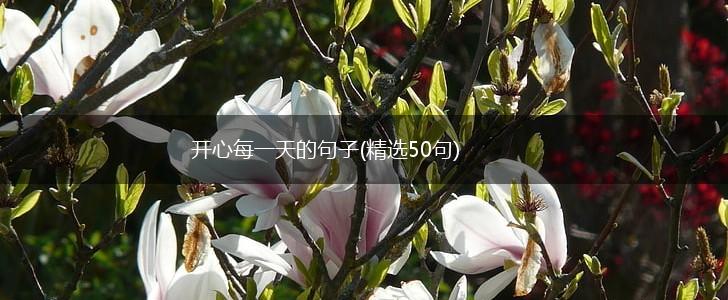 开心每一天的句子(精选50句),第1张