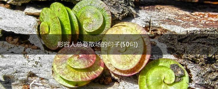 形容人总要散场的句子(50句),第1张