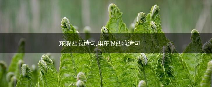 东躲西藏造句,用东躲西藏造句,第1张