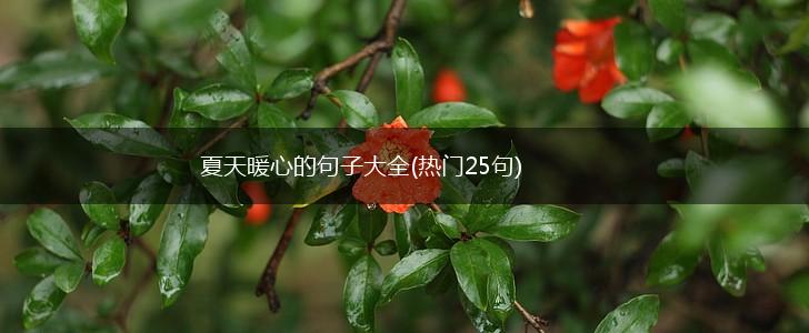 夏天暖心的句子大全(热门25句),第1张