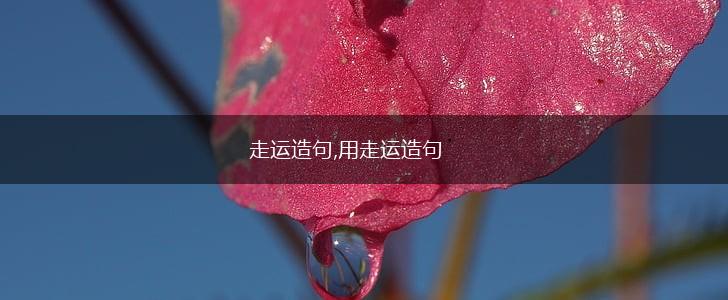 走运造句,用走运造句,第1张
