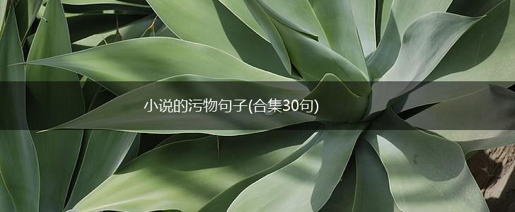 小说的污物句子(合集30句),第1张