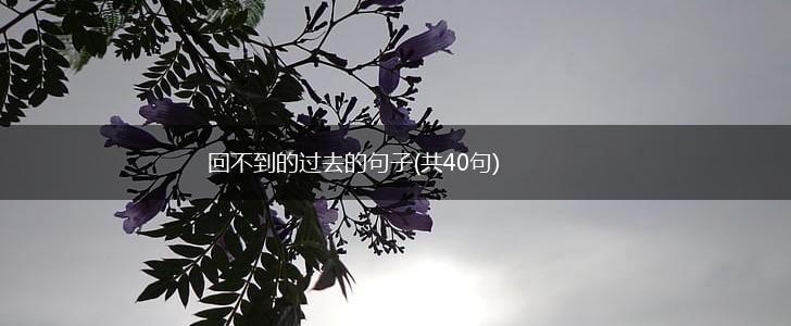 回不到的过去的句子(共40句),第1张