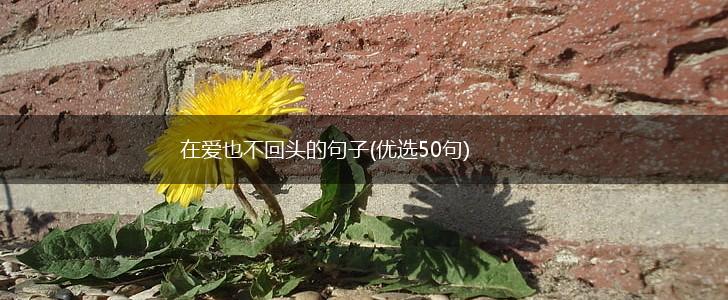 在爱也不回头的句子(优选50句),第1张