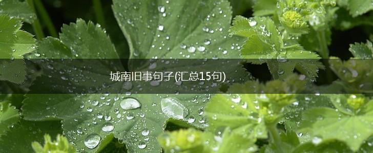城南旧事句子(汇总15句),第1张