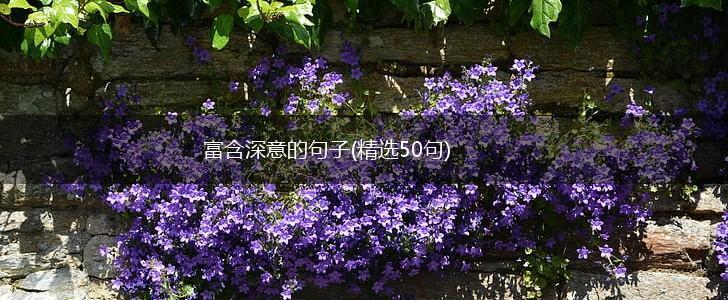 富含深意的句子(精选50句),第1张