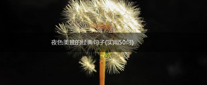 夜色美景的经典句子(实用50句),第1张