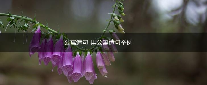 公寓造句_用公寓造句举例,第1张 公寓造句_用公寓造句举例,第1张