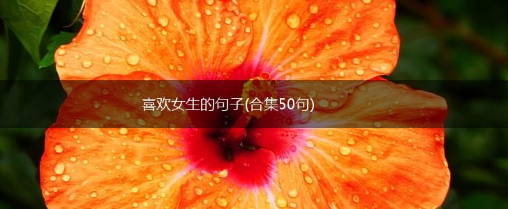 喜欢女生的句子(合集50句),第1张