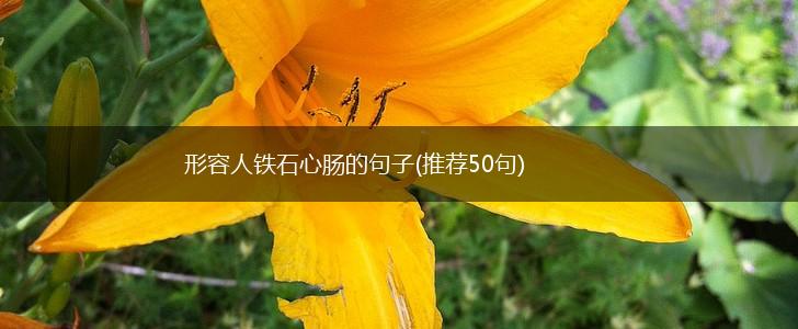 形容人铁石心肠的句子(推荐50句),第1张
