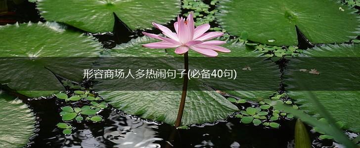 形容商场人多热闹句子(必备40句),第1张