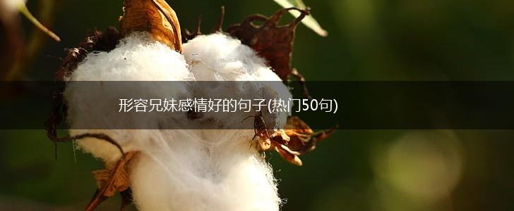 形容兄妹感情好的句子(热门50句),第1张