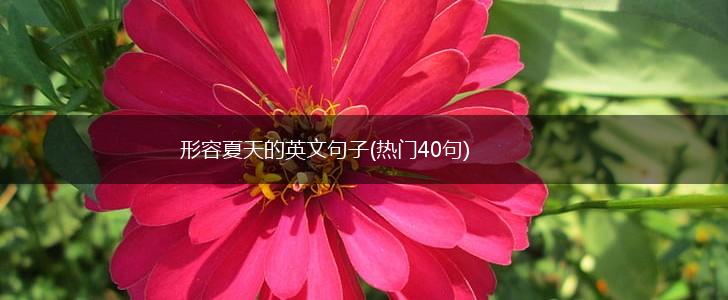 形容夏天的英文句子(热门40句),第1张