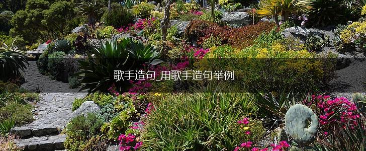 歌手造句_用歌手造句举例,第1张 歌手造句_用歌手造句举例,第1张