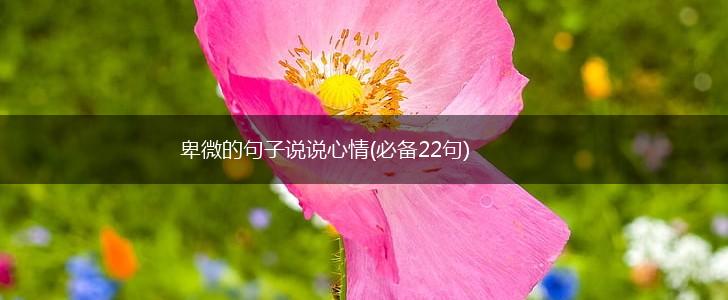 卑微的句子说说心情(必备22句),第1张