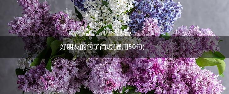 好朋友的句子简短(通用50句),第1张