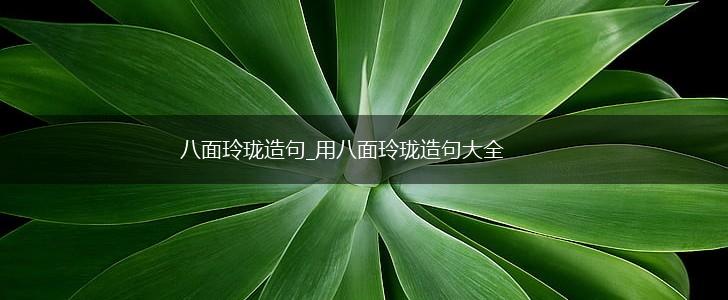 八面玲珑造句_用八面玲珑造句大全,第1张