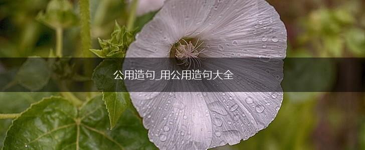 公用造句_用公用造句大全,第1张 公用造句_用公用造句大全,第1张