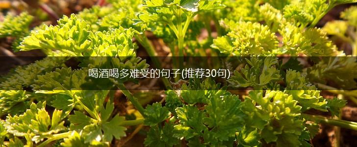 喝酒喝多难受的句子(推荐30句),第1张