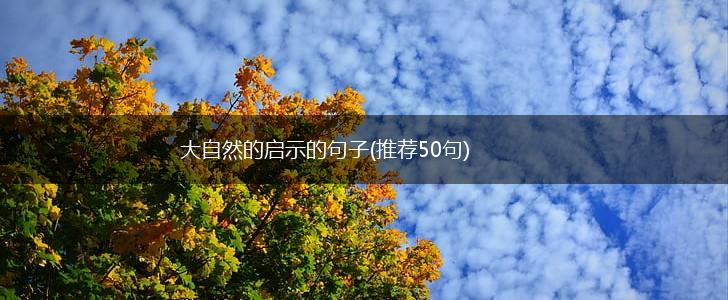 大自然的启示的句子(推荐50句),第1张