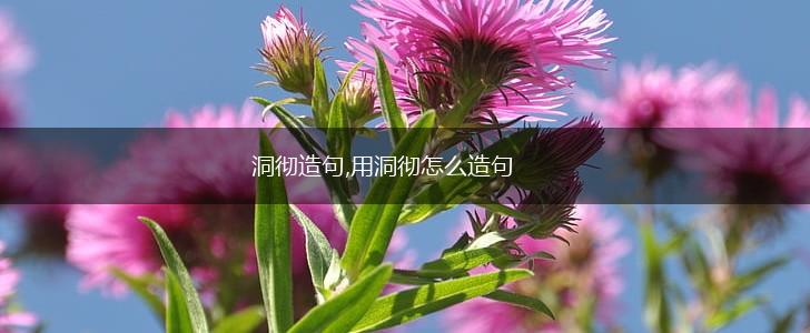 洞彻造句,用洞彻怎么造句,第1张