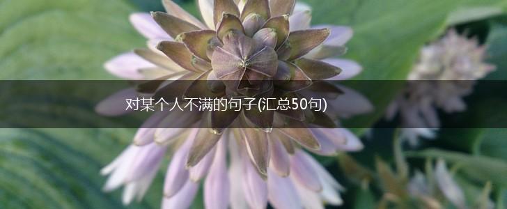 对某个人不满的句子(汇总50句),第1张
