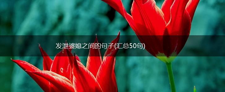 发泄婆媳之间的句子(汇总50句),第1张