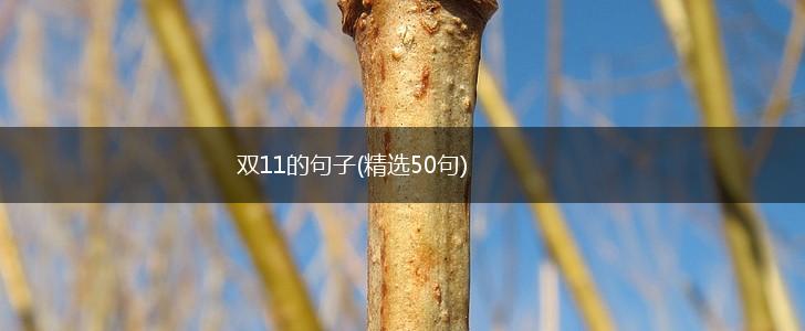 双11的句子(精选50句),第1张