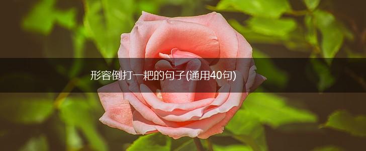 形容倒打一耙的句子(通用40句),第1张