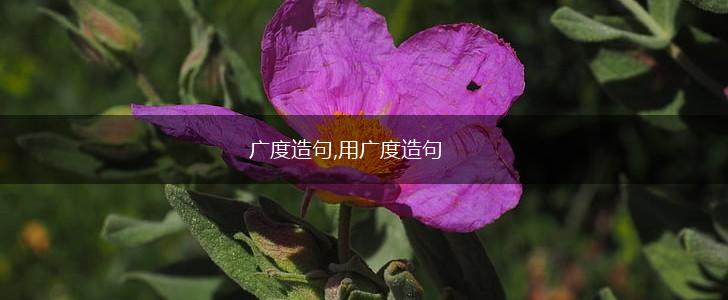 广度造句,用广度造句,第1张