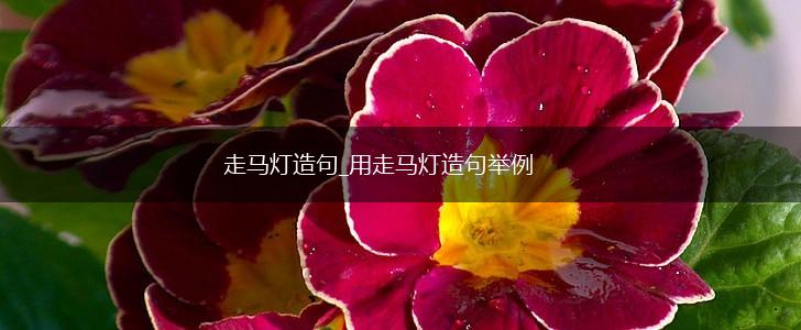 走马灯造句_用走马灯造句举例,第1张