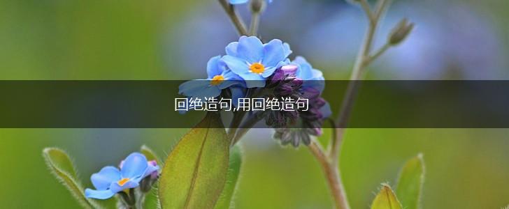 回绝造句,用回绝造句,第1张 回绝造句,用回绝造句,第1张