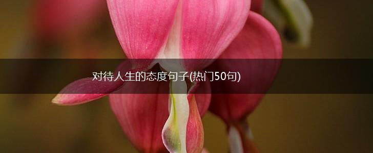 对待人生的态度句子(热门50句),第1张