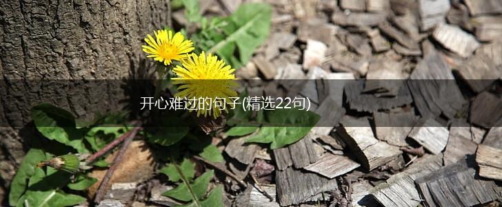开心难过的句子(精选22句),第1张