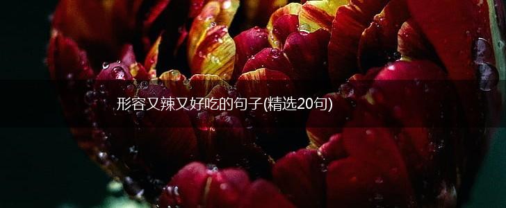 形容又辣又好吃的句子(精选20句),第1张