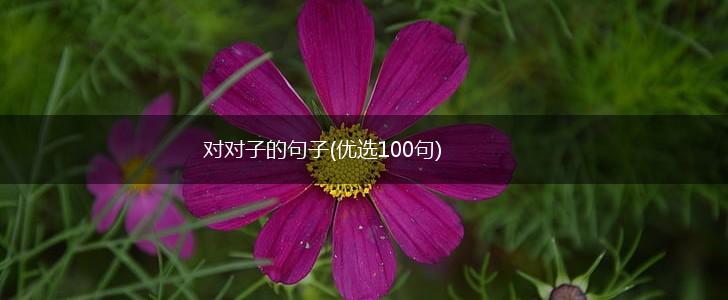 对对子的句子(优选100句),第1张