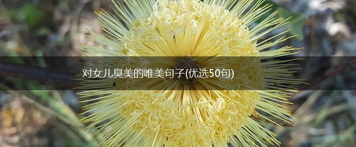 对女儿臭美的唯美句子(优选50句),第1张