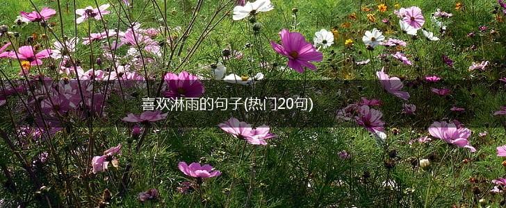 喜欢淋雨的句子(热门20句),第1张