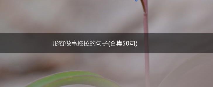 形容做事拖拉的句子(合集50句),第1张