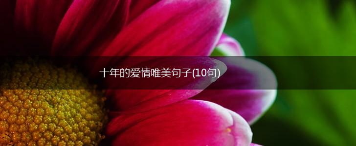 十年的爱情唯美句子(10句),第1张
