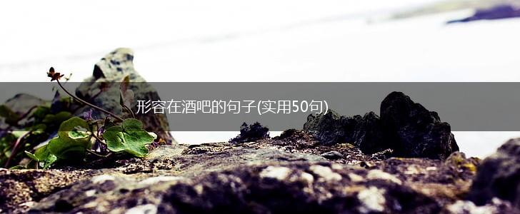 形容在酒吧的句子(实用50句),第1张