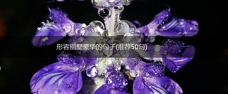 形容别墅豪华的句子(推荐50句),第1张