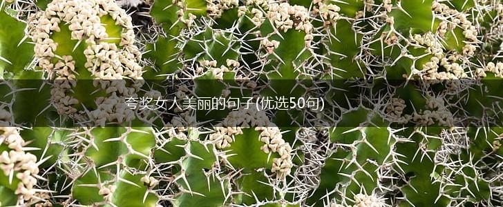 夸奖女人美丽的句子(优选50句),第1张