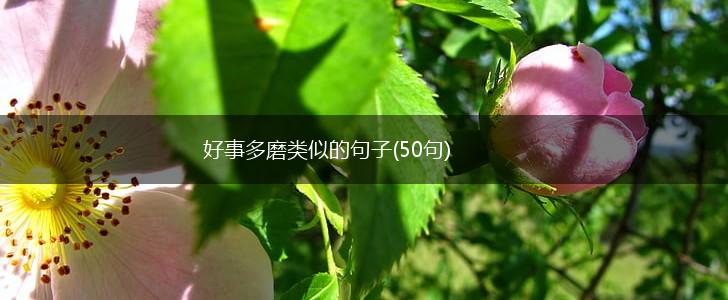 好事多磨类似的句子(50句),第1张