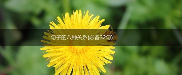 句子的八种关系(必备32句),第1张