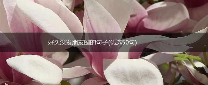 好久没发朋友圈的句子(优选50句),第1张