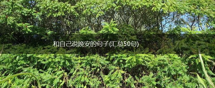 和自己说晚安的句子(汇总50句),第1张