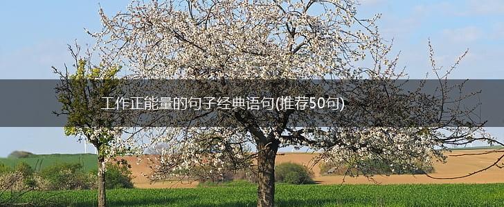工作正能量的句子经典语句(推荐50句),第1张