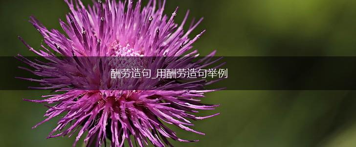 酬劳造句_用酬劳造句举例,第1张