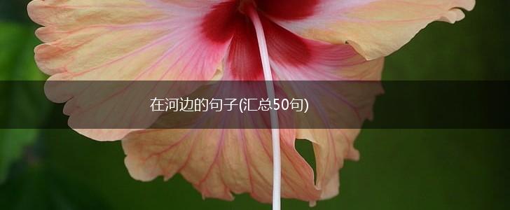 在河边的句子(汇总50句),第1张